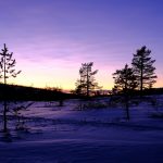 Hyra stuga i Näsfjället med närhet till natur och aktiviteter